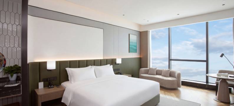 阜南温德姆花园酒店图片