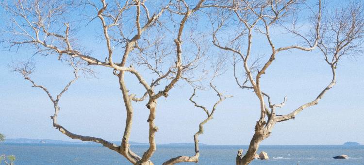 厦门鹭岛·海居｜海景美墅(黄厝海滩会展中心店)图片