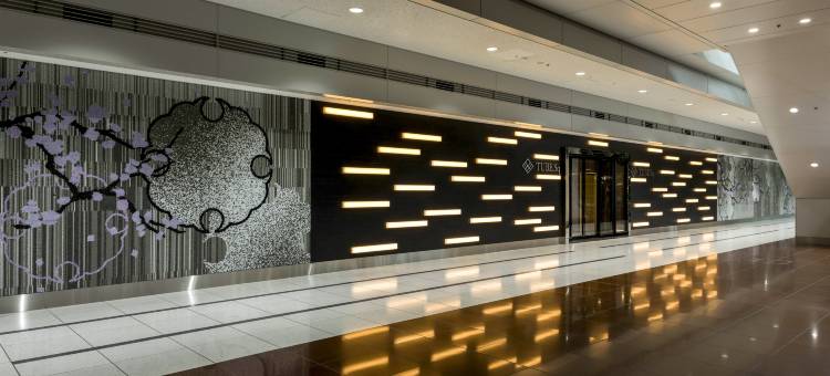 杜柏广场旅馆(Tube Sq)图片