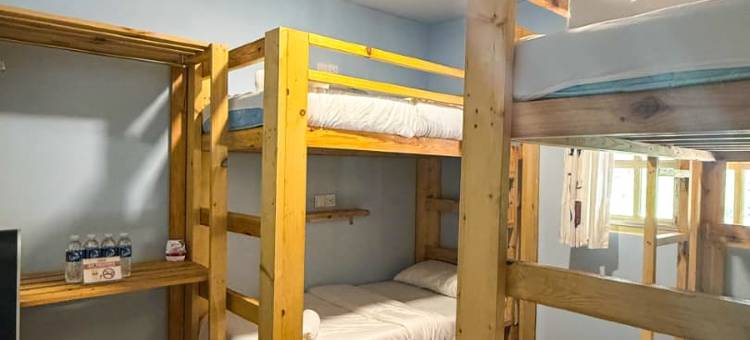 Alpaca Club Homestay图片