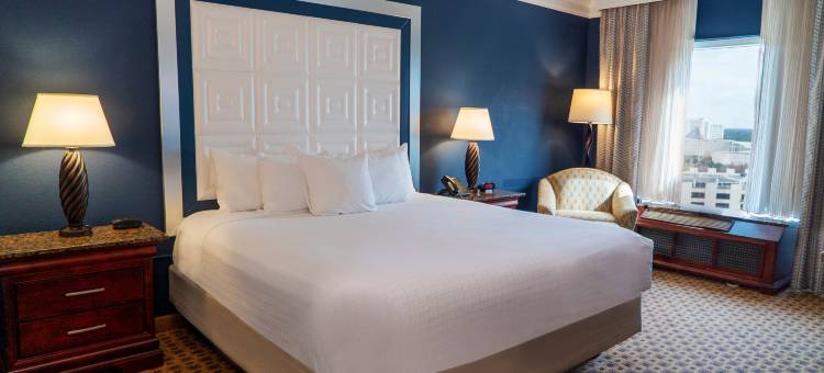 罗森广场酒店(Rosen Plaza Hotel Orlando Convention Center)图片