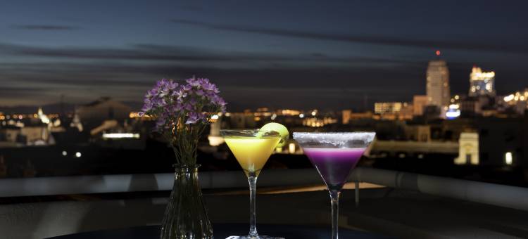 马德里音乐宫酒店(UMusic Hotel Madrid)图片