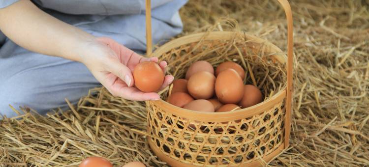 THANN健康目的地(THANN Wellness Destination)图片