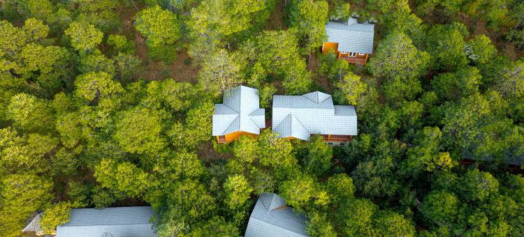 东巴谷丨日照金山·森林秘境·星空木屋度假酒店图片