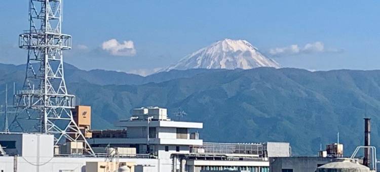 东横INN-甲府站南口1号(Toyoko Inn Kofu Eki Minami Guchi No 1)图片