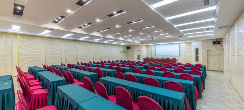 天嘉酒店(甘谷大像山店)图片