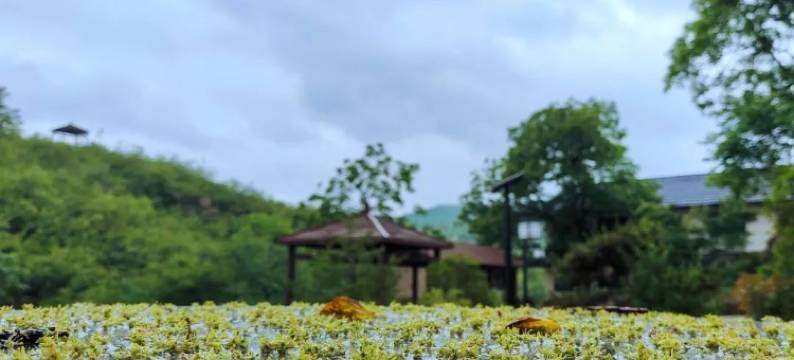 鹤壁伴山静居民宿图片