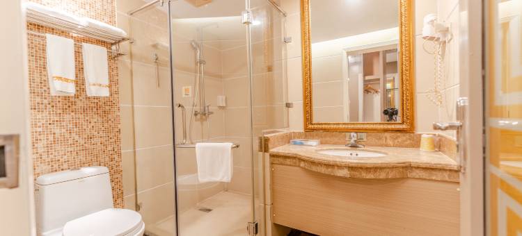 阳江海逸酒店(百利广场店)图片