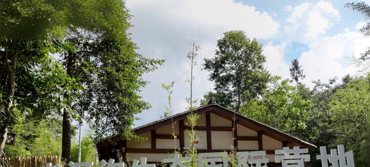 平武老河沟民宿(老河沟生态国际营地店)图片