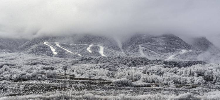 太白·望鳌山丨温泉私汤·山景美学度假民宿酒店(鳌山度假区店)图片