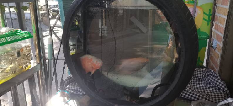 良小亭民宿图片