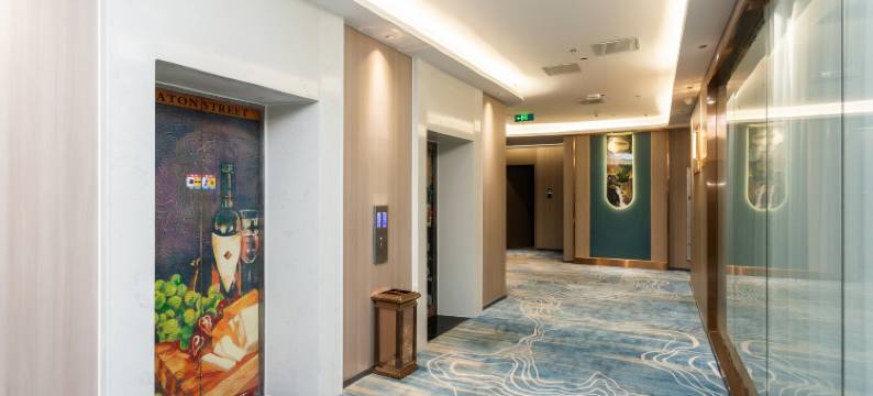 嘉兴玲珑湾假日酒店(南湖月河历史街区店)图片