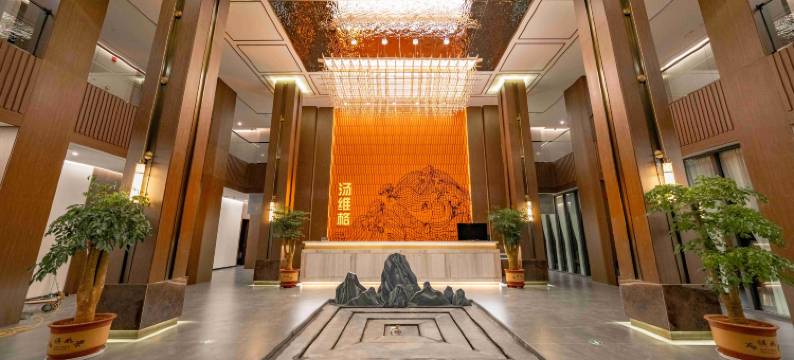 维西汤维格尊享酒店图片