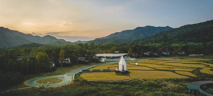 树蛙部落(仙女湖店)图片