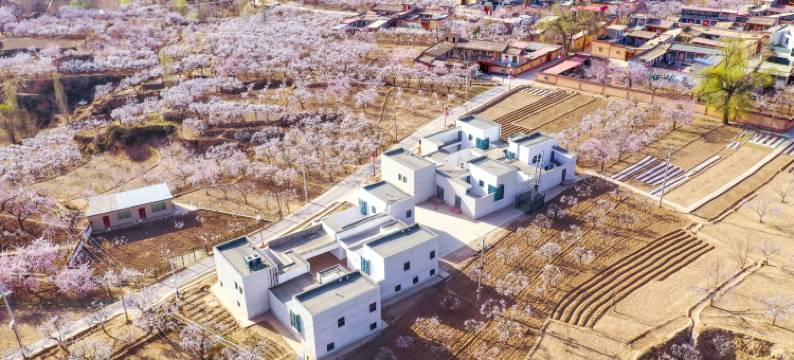 唐蕃云舍民宿(唐汪镇马巷村店)图片