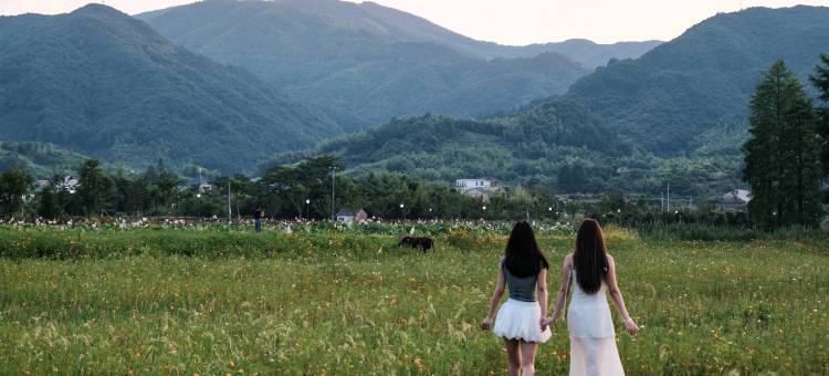 余姚山隐禾风民宿图片