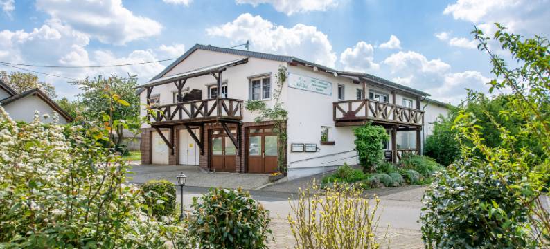 沃德斯伯利克公寓酒店(Waldesblick, Hotel-Restaurant)图片