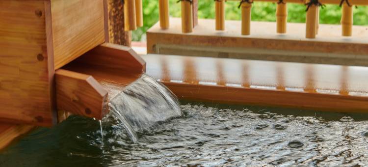 有马温泉高山壮华野旅馆(12岁以下儿童不可入住)(Arima Onsen Takayamaso Hanano -Adult only-)图片