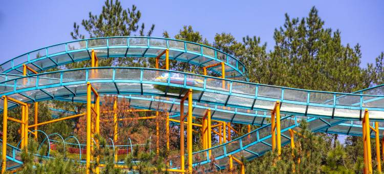 安吉中南度假·老虎酒店图片