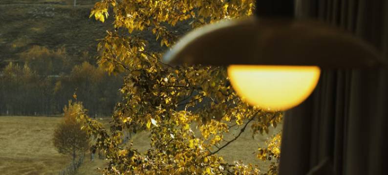 星野·雪山苑(新都桥店)图片