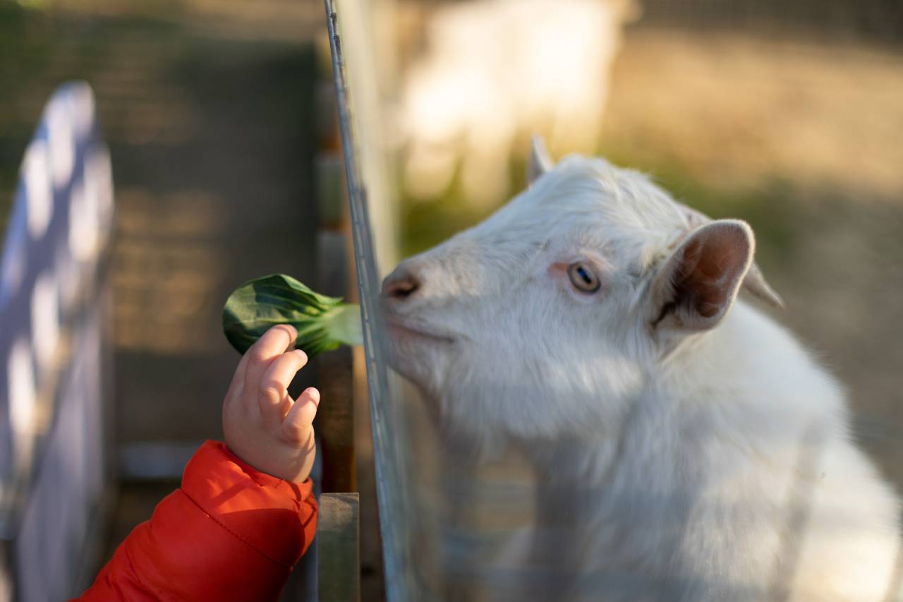 苏州东太湖大酒店图片