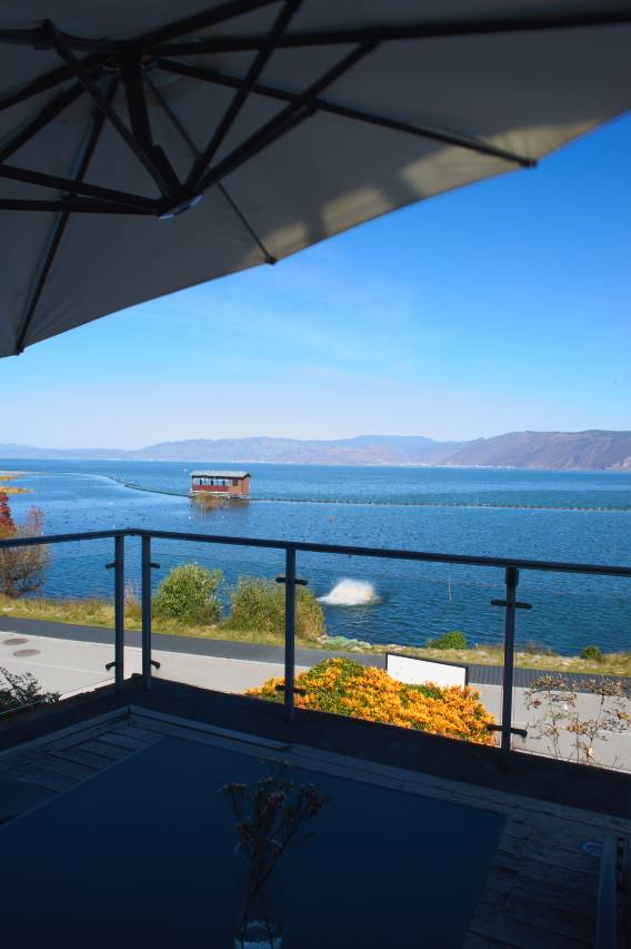 大理水岸海景度假客栈(洱海生态廊道店)图片