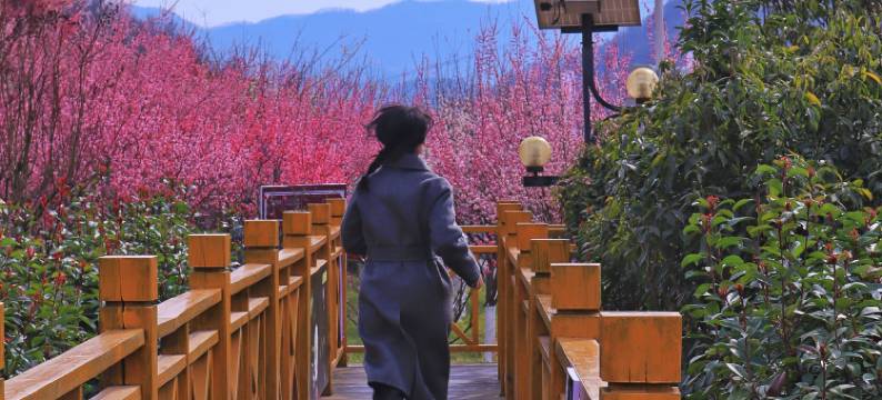 梅苑壹号民宿图片