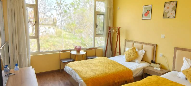 大理梧桐精品民宿图片