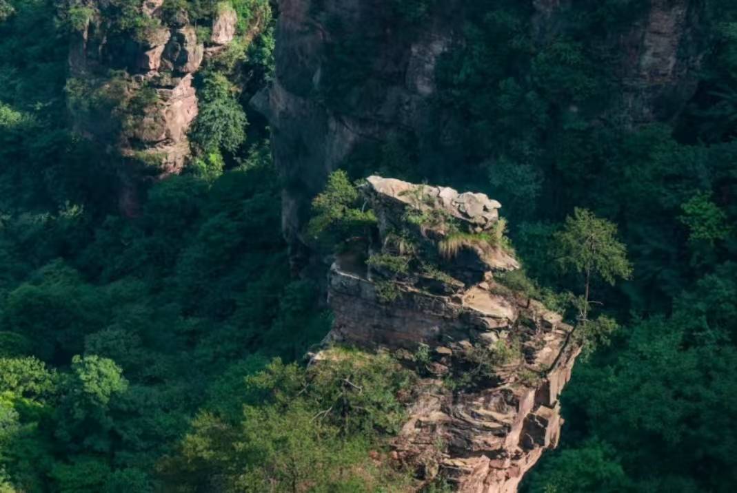 那山湾·Detached山景休闲度假Villa美宿(张家界森林公园店)图片