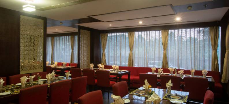 乌代布尔维斯塔大中央(Vesta Grand Central Udaipur)图片