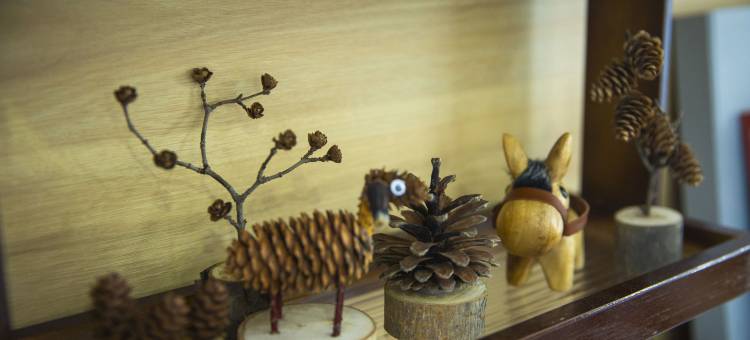 花筑·逸云民宿(长白山北坡集散中心二道白河店)图片