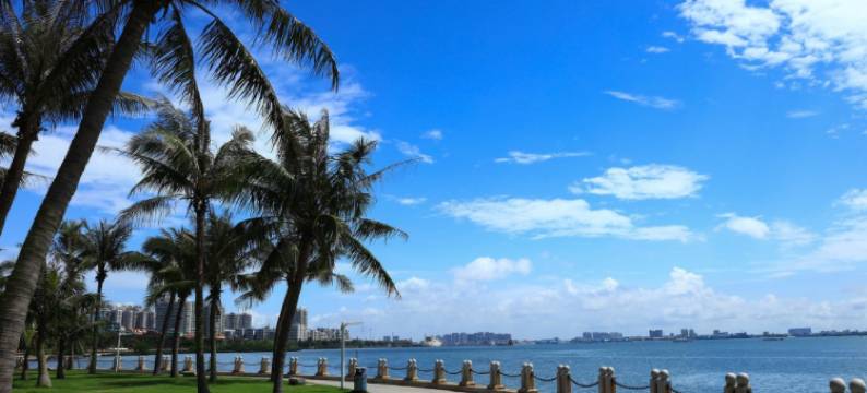 君庭酒店(湛江南油中国海油店)图片