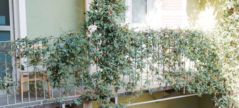 Tomato Urban Retreat图片