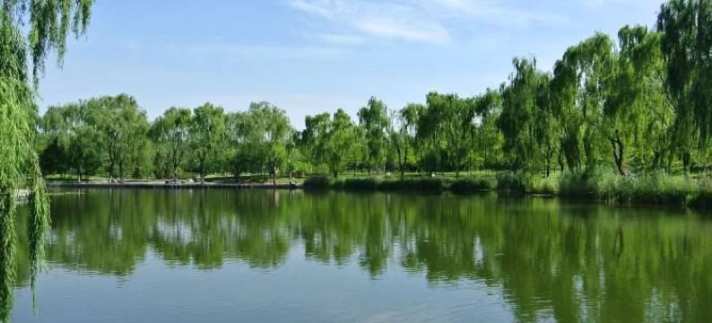 如云酒店(济南章丘明水古城店)图片