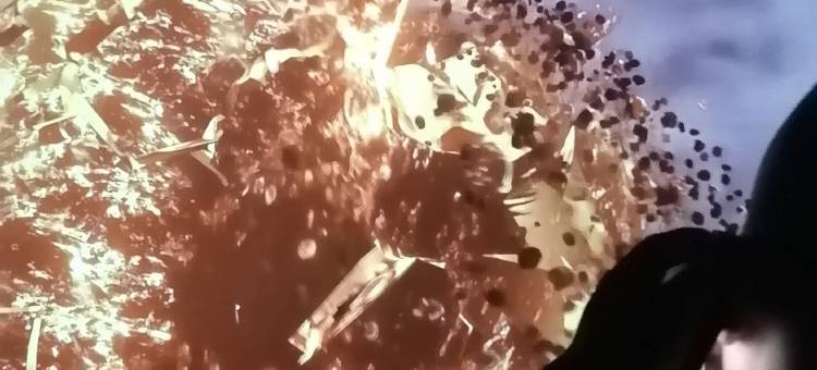 学府悦居酒店(绵阳西南科技大学店)图片