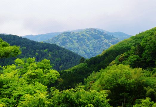 Shirakabeso Hotel Overview