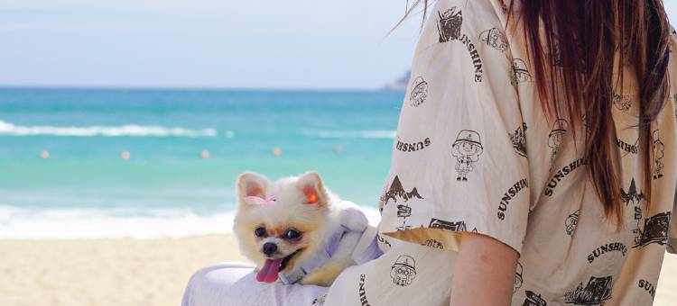 三亚亚龙湾万豪度假酒店图片