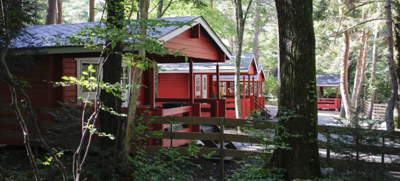 PICA富士吉田营地(Pica Fujiyoshida)图片