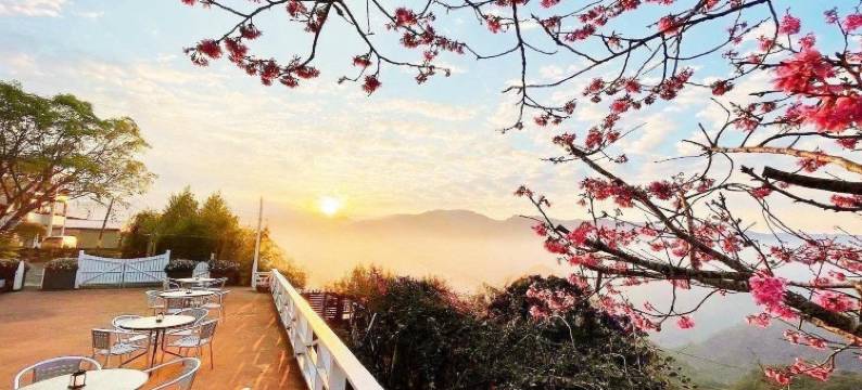 阿里山茶香花园民宿图片
