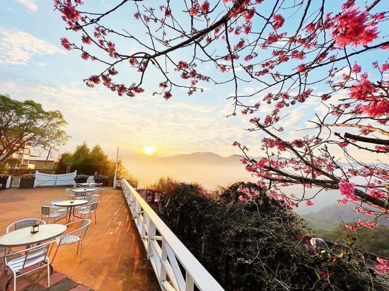 阿里山茶香花园民宿