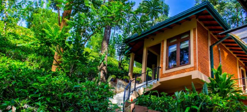 茶屋水疗度假村(Tea Cottage Resort & Spa)图片