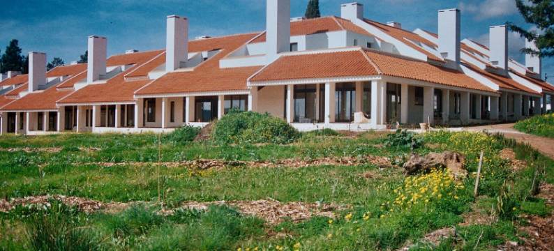 卡利波(Calipo)图片