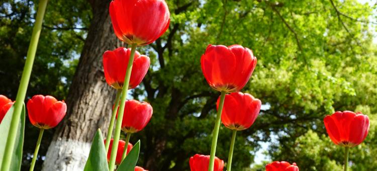 睿柏·云酒店(营口万达广场客运站店)图片