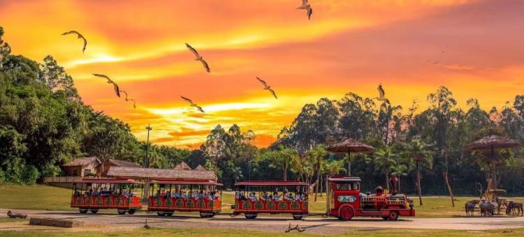 凯莱城堡酒店(广州长隆野生动物园店)图片