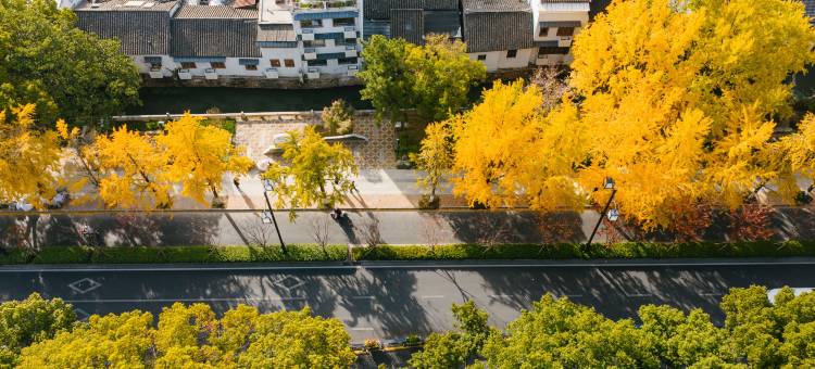 苏州中心大酒店图片