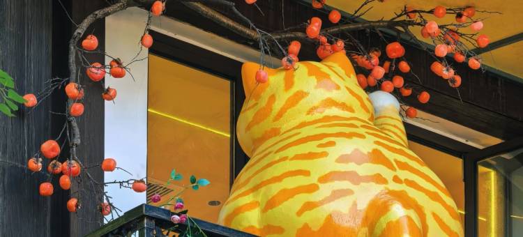 福州格盟酒店(福建师范大学仓山校区烟台山公园店)图片