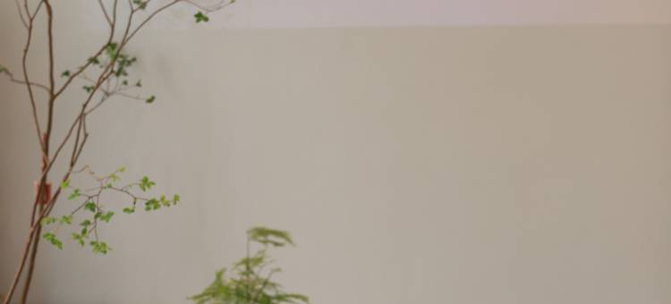 天台山风与月民宿(国清寺景区店)图片