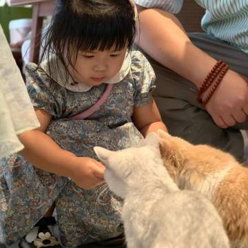 黄山隐此间民宿(呈坎景区店)图片