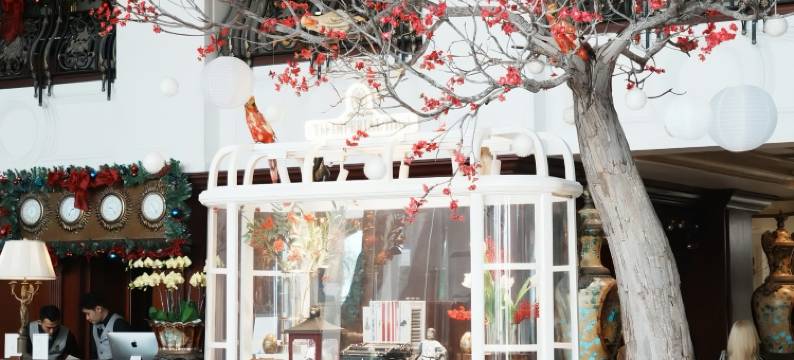 头顿帝国酒店(The IMPERIAL Vung Tau Hotel)图片