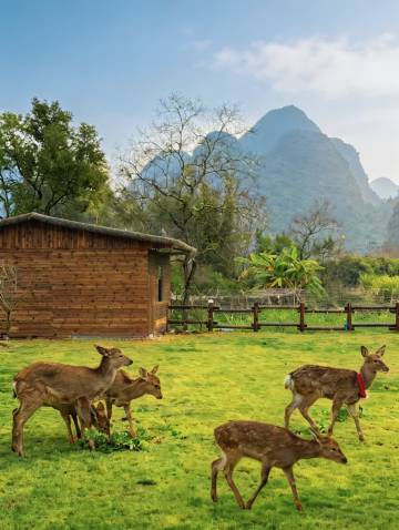 昔往•今来SOOOAN隐奢度假民宿(阳朔遇龙河店)图片